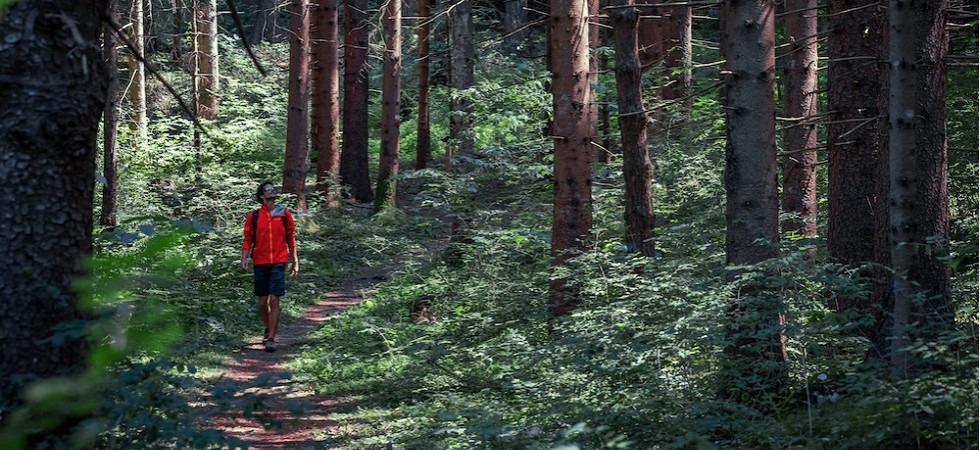 Il Parco del Respiro della Paganella vuole diventare un centro terapeutico unico in Europa